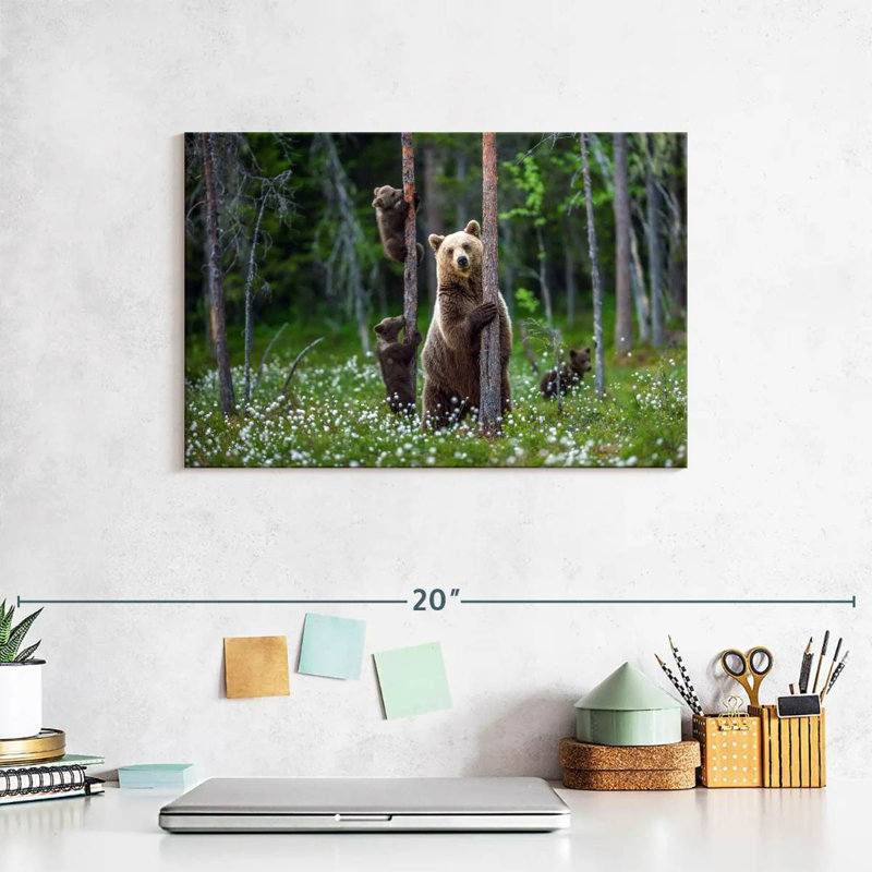 Brampt Grizzly Bear Group, H 8 po x l 12 po