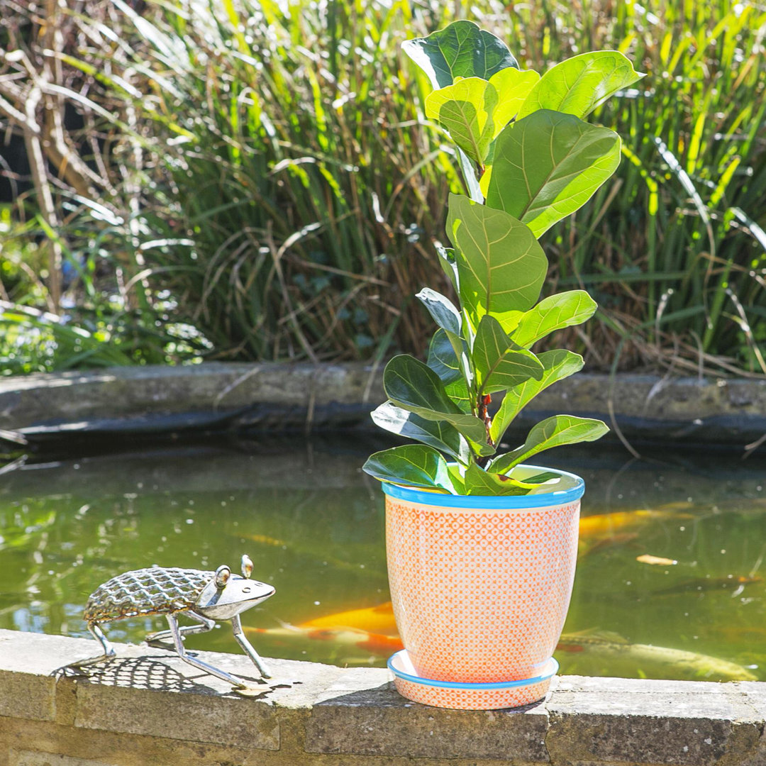 Nicola Spring - Hand-Printed Plant Pot with Saucer - 20.5cm - Orange