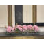 Hydrangea Arrangement in Planter-994405271