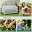 Darrtown 4 Ft W x 2 Ft D Mini Greenhouse