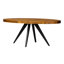 Parq Oval Dining Table-463959602