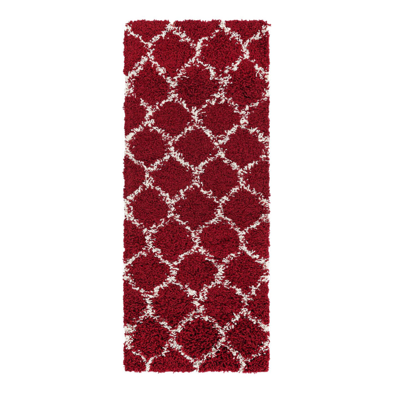 Tapis à poils longs Ruby, Tapis de couloir 2 pi x 5 pi