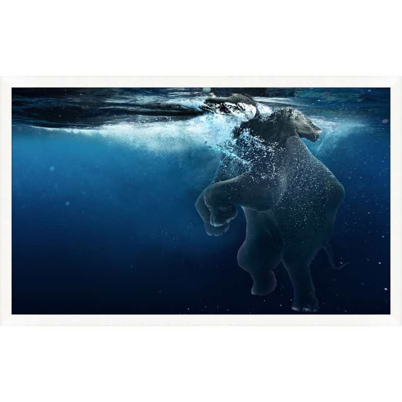 " Elephant Swim 2 " by Mat Sanders