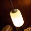 Goby Pendant Light-1043479-1043480-1043491