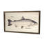 Silver Salmon Print-957647780