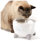 Catit Pixi Smart Fountain, Stainless Top