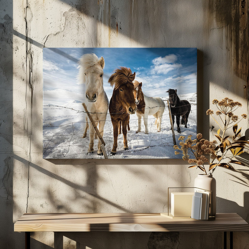 Wrapped Canvas Print, 50.8 cm H x 76.2 cm W