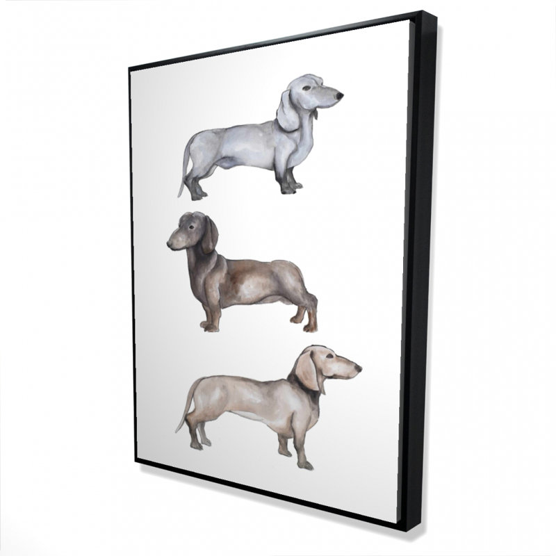 Dachshund Dogs Print On Canvas