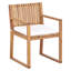 Adamina Patio Dining Armchair with Cushion-1447711485