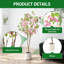 150cm Plant