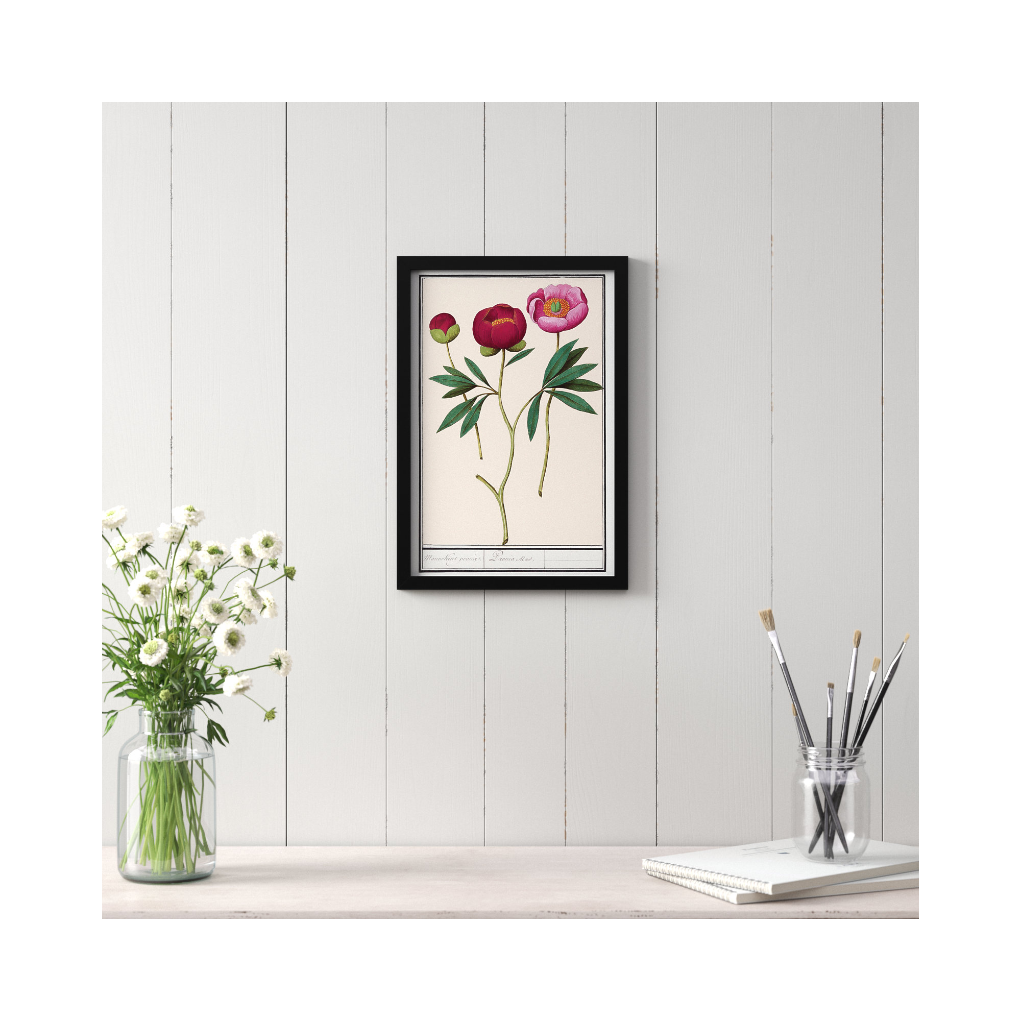 Red And Pink Peony Botanical Study by Oliver Gal, 17" H x 12" W, Black