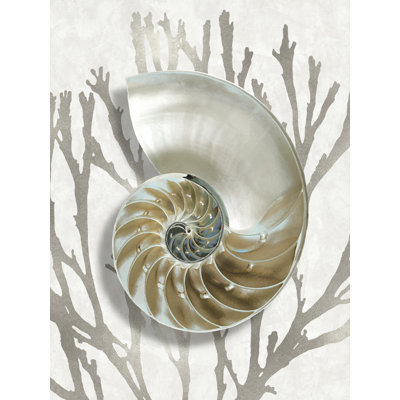 «Shell Coral Silver II» par Caroline Kelly - reproduction d'art sur toile tendue