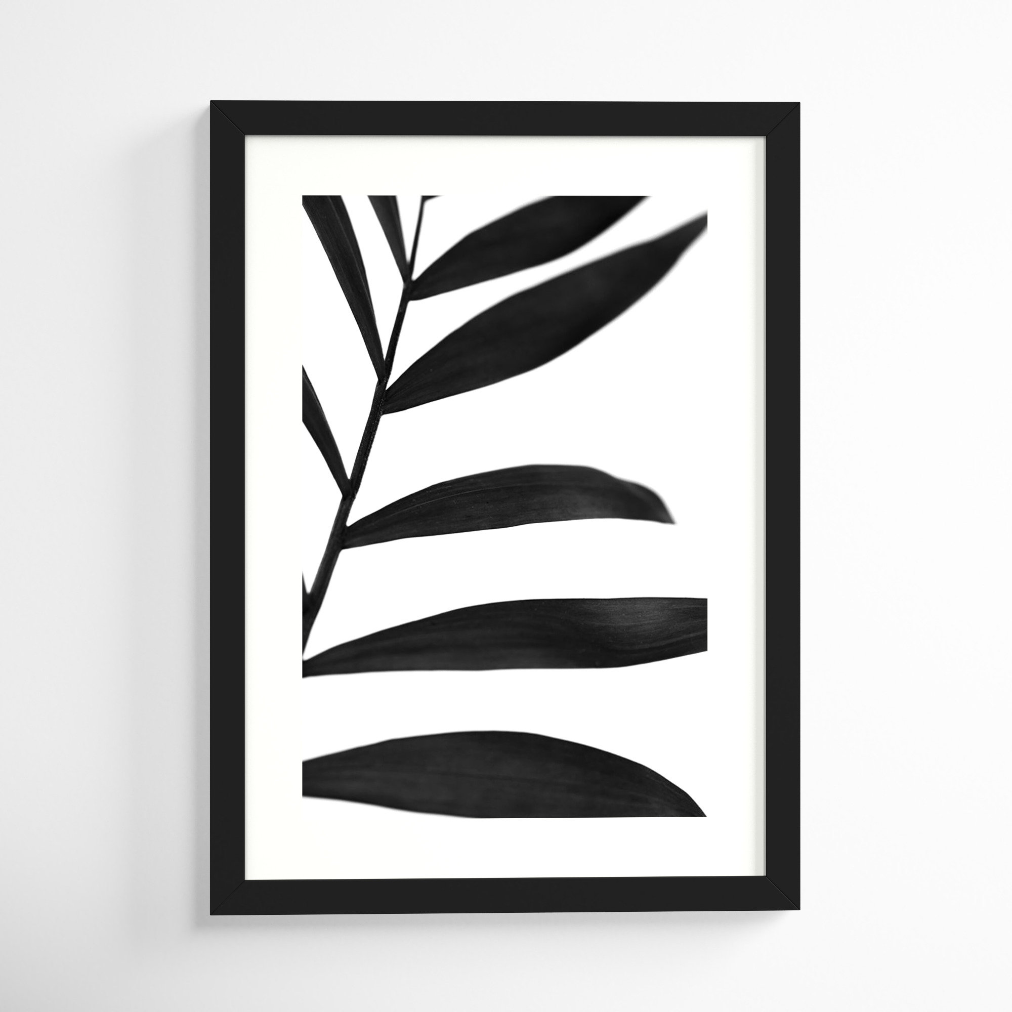 Black Palms V by W. Stramel, Black Framed Paper, 29" H x 21" W