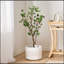 Bonsai artificiel 120 feuilles-196483729