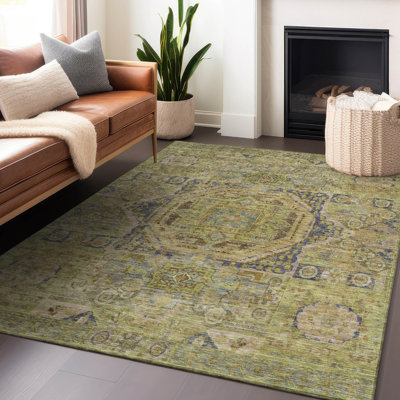 Machine Washable Indoor/Outdoor Xhevrie Aloe Rug