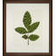 A Little Piece Of Nature IV Print
