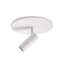 1 - Light LED Spotlight-69679325-72250415