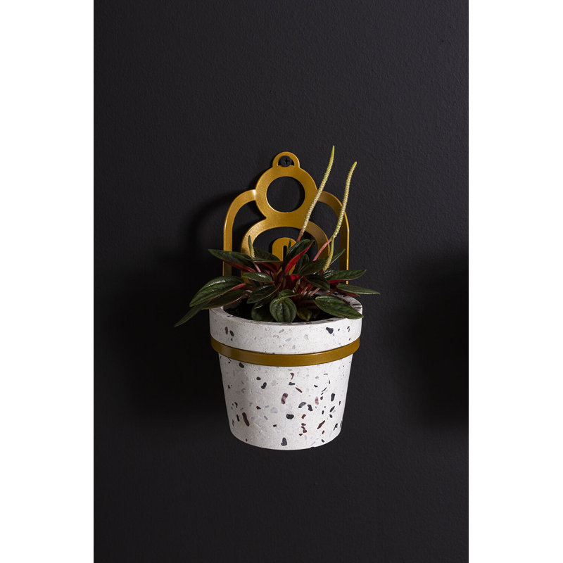 Lazaro Hanging Pot 4"x 3.5"