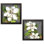 Magnifique «Magnolias I & II» par Jill Meyer, ensemble de 2 reproductions d'impressions