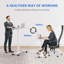 Shaunea Adjustable Standing Desk-708822808