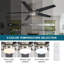 Ventilateurs de plafond de 52 pouces avec lumières, ventilateur de plafond intérieur à profil bas avec 3cct, ventilateur de plafond encastré réversible à moteurs à courant continu, ventilateur de plafond moderne réversible à DEL pour chambre à c-1020651285-1020651287