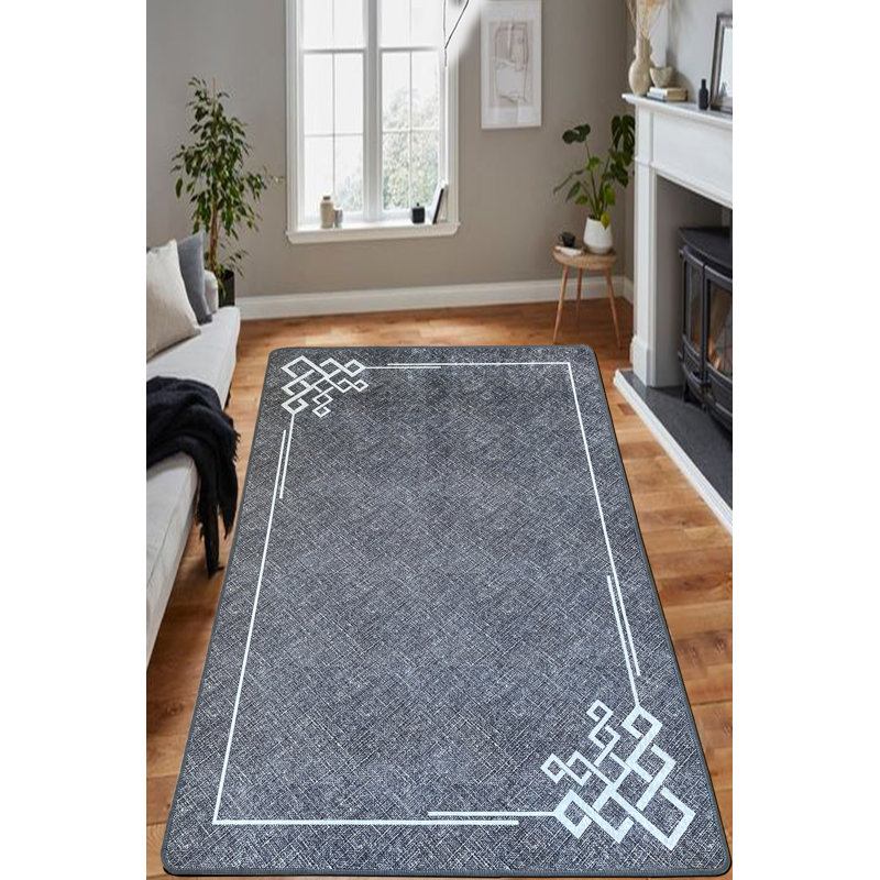 Antibacterial Hall Carpet, 31.5 x 39.4 inches | 100% Polyester, Pile Height: 0.4 inches | Non-Slip Underside, Machine Washable, 700 g/m² | Perfect for Home Entryway, Durable & Easy to Clean