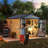 Outdoor Storage Shed, Protective Film, Four Daylight Windows Lockable Doors,A Practical And Thoughtful Gift,Two Colors Can Be Freely Selected Storage Sheds-124385898-124385897