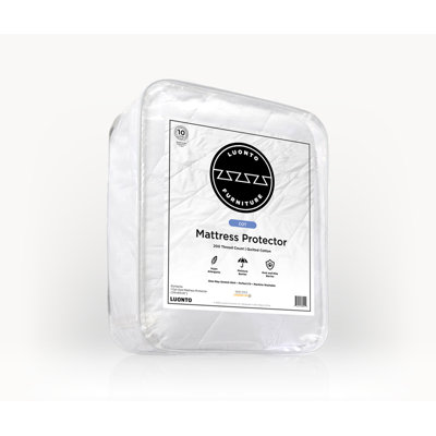 Mattress Protector