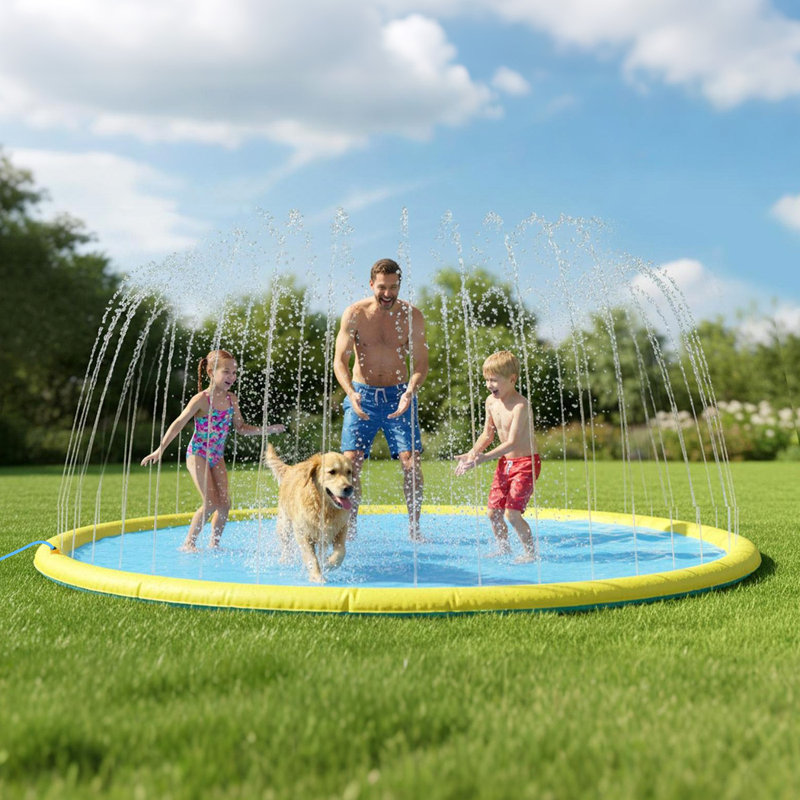 5cm H x 240cm W x 240cm D Dog Pool