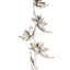 Star Pod Plant-1696371435