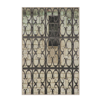 Indoor Rug