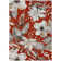 Machine Washable Indoor/Outdoor London ACN2260 Floral Rug