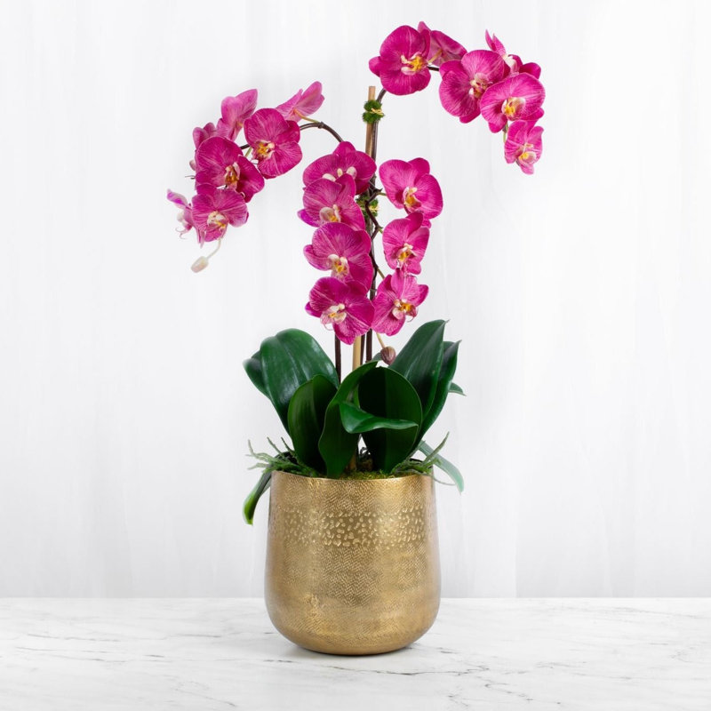 Silk Orchid Arrangement in Vase