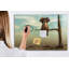 Magnetic Memo Board Whiteboard - 90 x 60 cm - With Marker and Magnets - The elephant on the tree