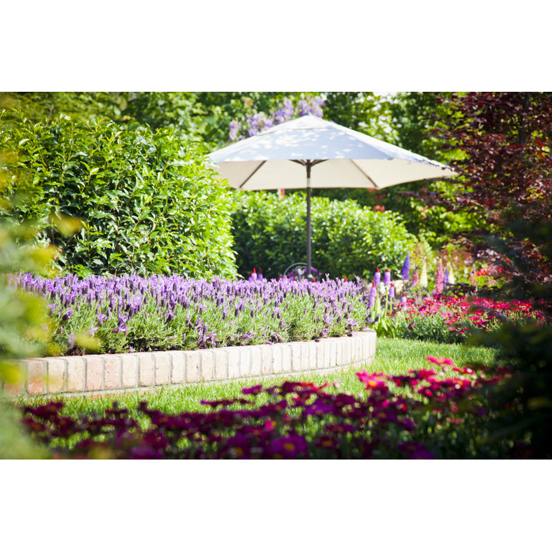 Lanscaped Garden by Westbury - No Frame Print on Canvas, 61cm H x 91cm W