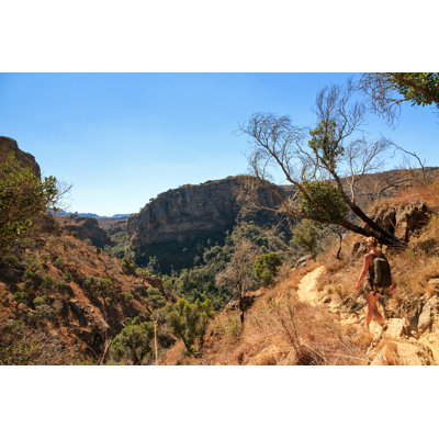 Isalo National Park, Madagascar 1 Piece Wrapped Canvas Wall Art