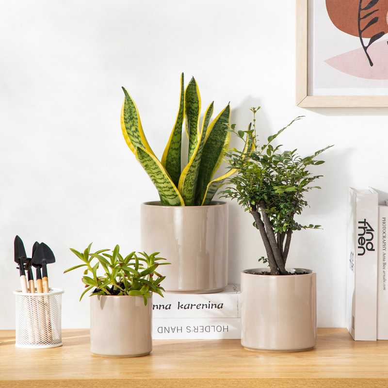 ZTHPOT Ceramic Pot Planter, Grey