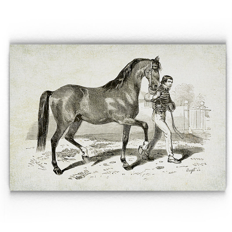 « équin assiette xxi », impression, H 18 po x l 27 po x P 1,5 po, Pas de tapis, Toile tendue