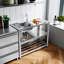 Metro Lane 45.5mm W Single Bowl Stainless Steel Kitchen Sink with 2 Faucet Holes