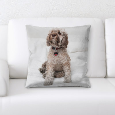 Dog Square Pillow Cover & Insert