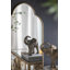 Miroir mural champagne doré