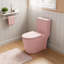 Toilette monobloc en céramique rose à motif floral de 43 cm (17 pouces) avec abattant allongé à fermeture douce et double chasse d'eau