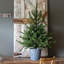 52' H Lighted Artificial Pine Christmas Tree