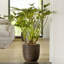 Capi Egg Planter Nature Rib-47838401-47838402