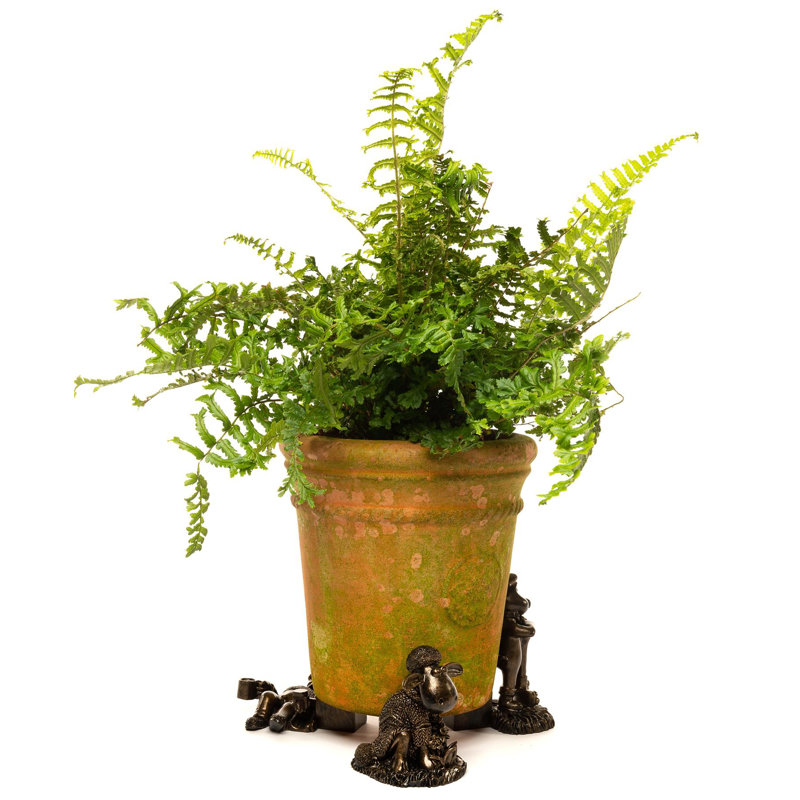 Yordana Stone Weather Resistant Planter Feet