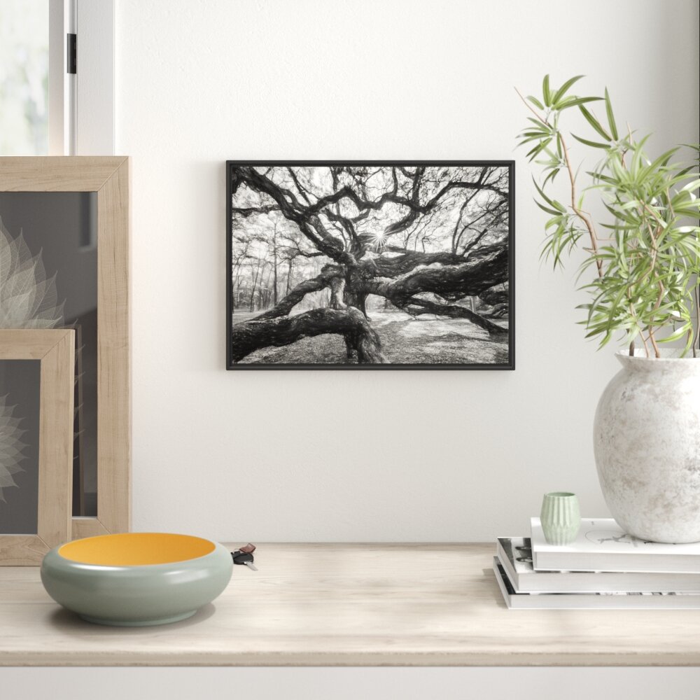 Gerahmtes Wandbild Baum