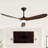 Netrapal 3-Blade Indoor Ceiling Fan with Remote and Light,3 LED Colors,6 Speed DC Motor,Timer-1003158804-1003158805