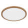 Plastic LED Flush Mount