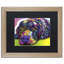 « chevronné labrador », impression sur toile-1717774661-1717774663-1717774719
