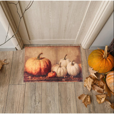  Tapis Pumpkin Still Life - intérieur / extérieur